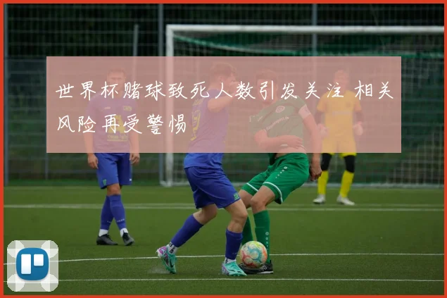 世界杯赌球致死人数引发关注 相关风险再受警惕