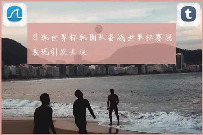 日韩世界杯韩国队备战世界杯赛场表现引发关注
