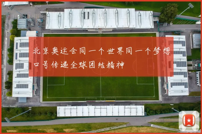 北京奥运会同一个世界同一个梦想口号传递全球团结精神