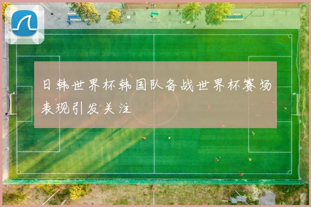 日韩世界杯韩国队备战世界杯赛场表现引发关注